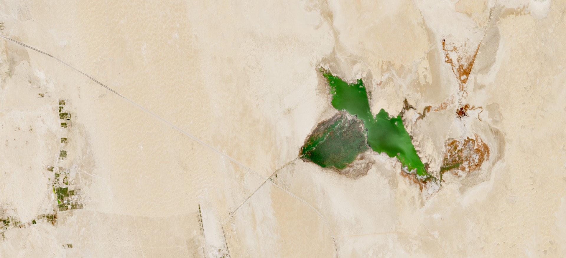 Oasi Qabr Umm al Hishah